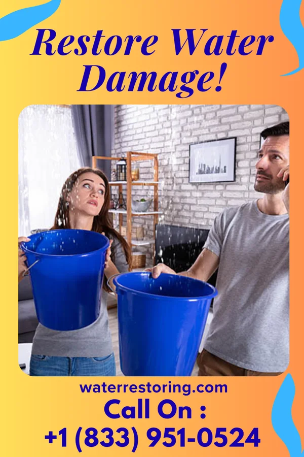 water restoration Solid Cleanup Specialists Sandyville